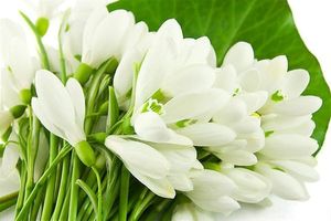 Image chosen by user