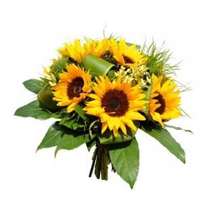 Image chosen by user