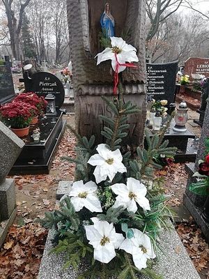 Obrazek wybrany przez użytkownika