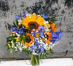 Image chosen by user