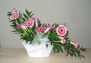 Image chosen by user