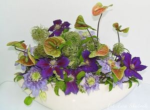 Image chosen by user
