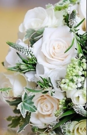 Image chosen by user