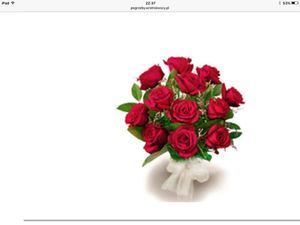 Image chosen by user