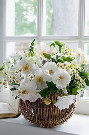 Image chosen by user