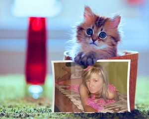 Image chosen by user