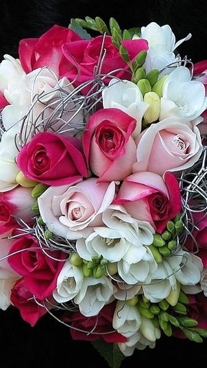 Image chosen by user