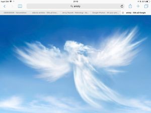 Image chosen by user