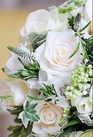 Image chosen by user