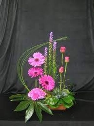 Image chosen by user