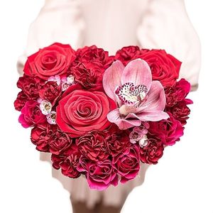 Image chosen by user