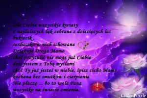 Image chosen by user