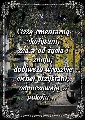 Obrazek wybrany przez użytkownika