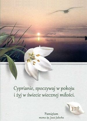 Image chosen by user