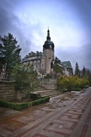Image chosen by user