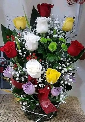Image chosen by user