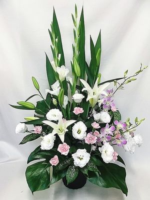 Image chosen by user