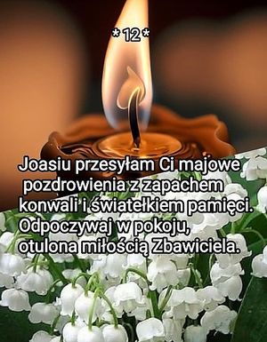 Obrazek wybrany przez użytkownika