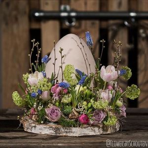 Image chosen by user