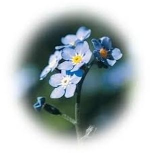 Image chosen by user
