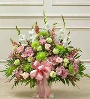Image chosen by user