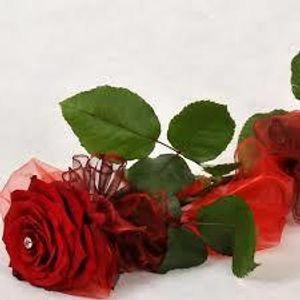 Image chosen by user