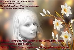 Image chosen by user