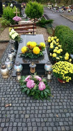 Obrazek wybrany przez użytkownika