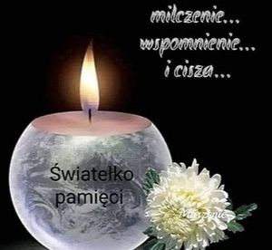 Obrazek wybrany przez użytkownika