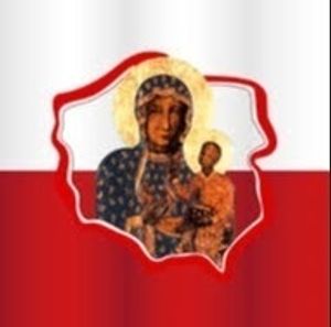 Obrazek wybrany przez użytkownika
