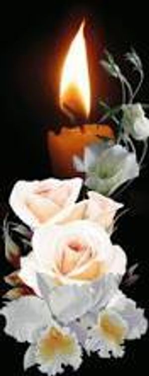 Image chosen by user