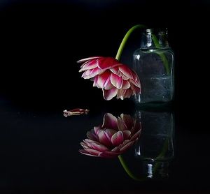 Image chosen by user