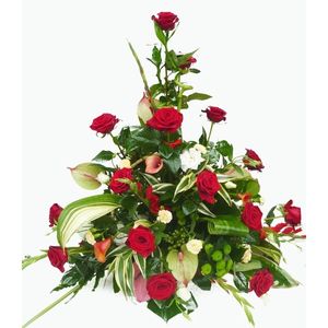 Image chosen by user