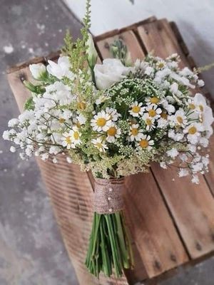 Image chosen by user