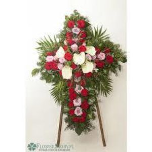 Image chosen by user