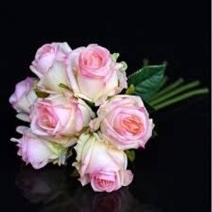Image chosen by user