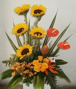 Image chosen by user