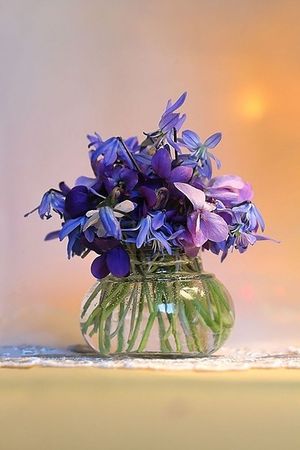 Image chosen by user