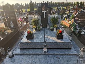 Image chosen by user