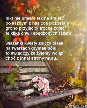Obrazek wybrany przez użytkownika