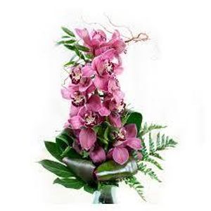 Image chosen by user