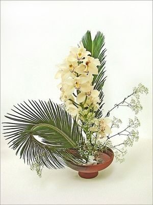 Image chosen by user