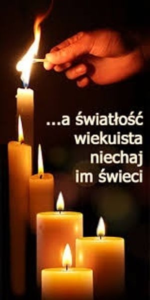 Image chosen by user