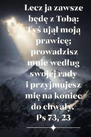 Image chosen by user