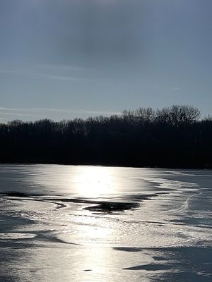 Image chosen by user