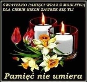 Image chosen by user