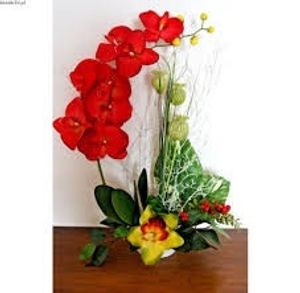 Image chosen by user