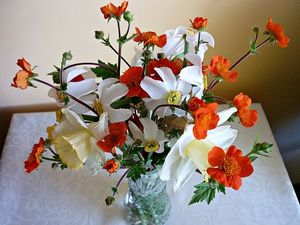 Image chosen by user