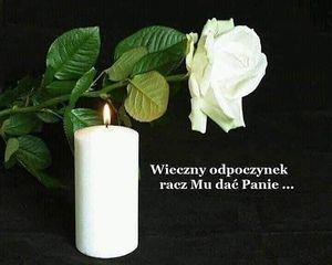 Obrazek wybrany przez użytkownika