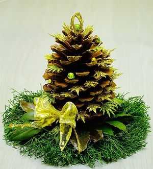 Image chosen by user
